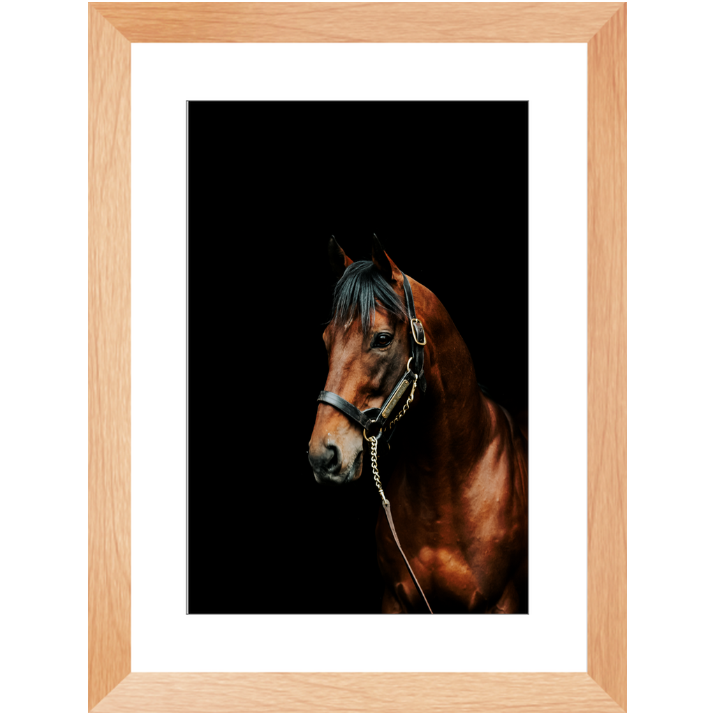 American Pharoah Series 2, Framed Prints