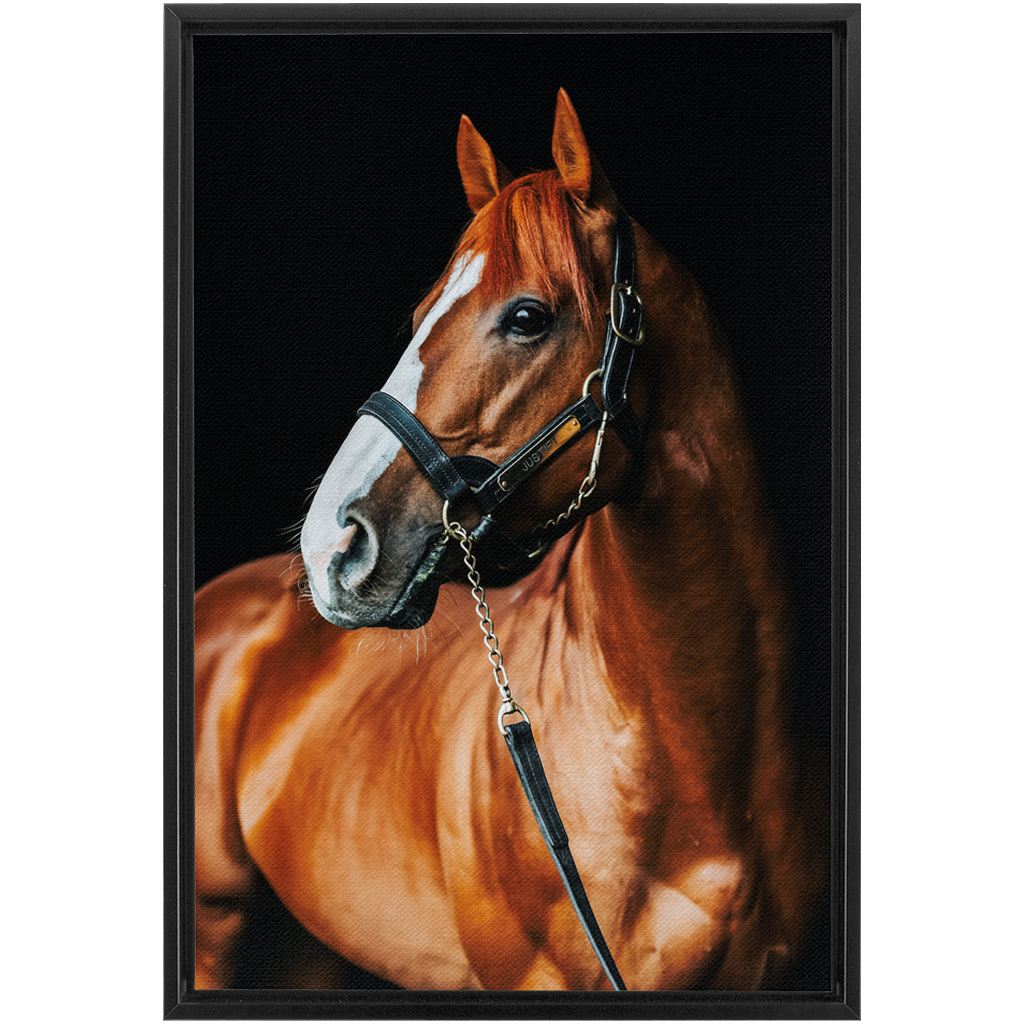 Justify Series 1, Framed Canvas