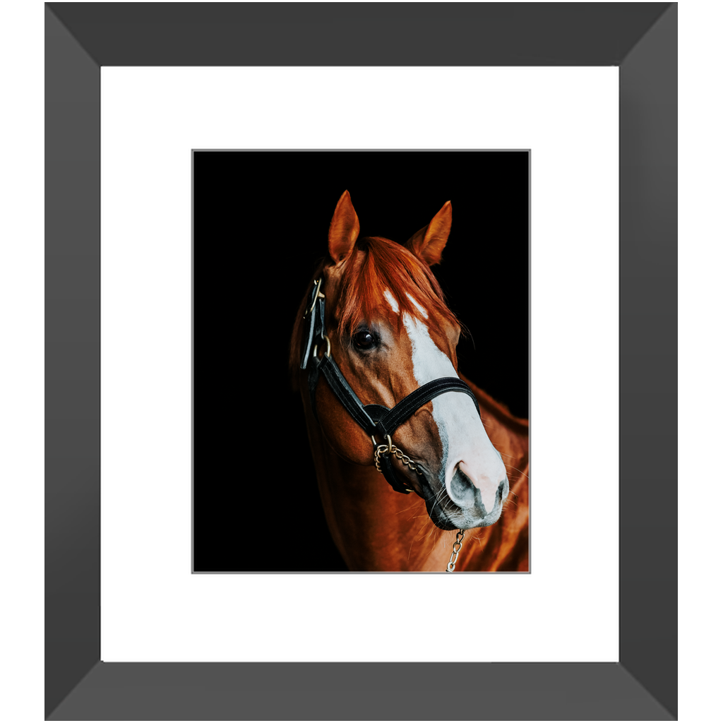 Justify Series 2, Framed Print