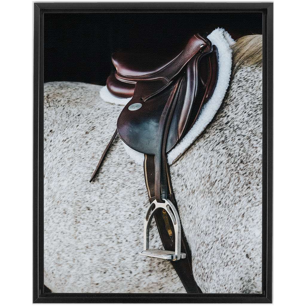 Apollo Series 3, Framed Canvas