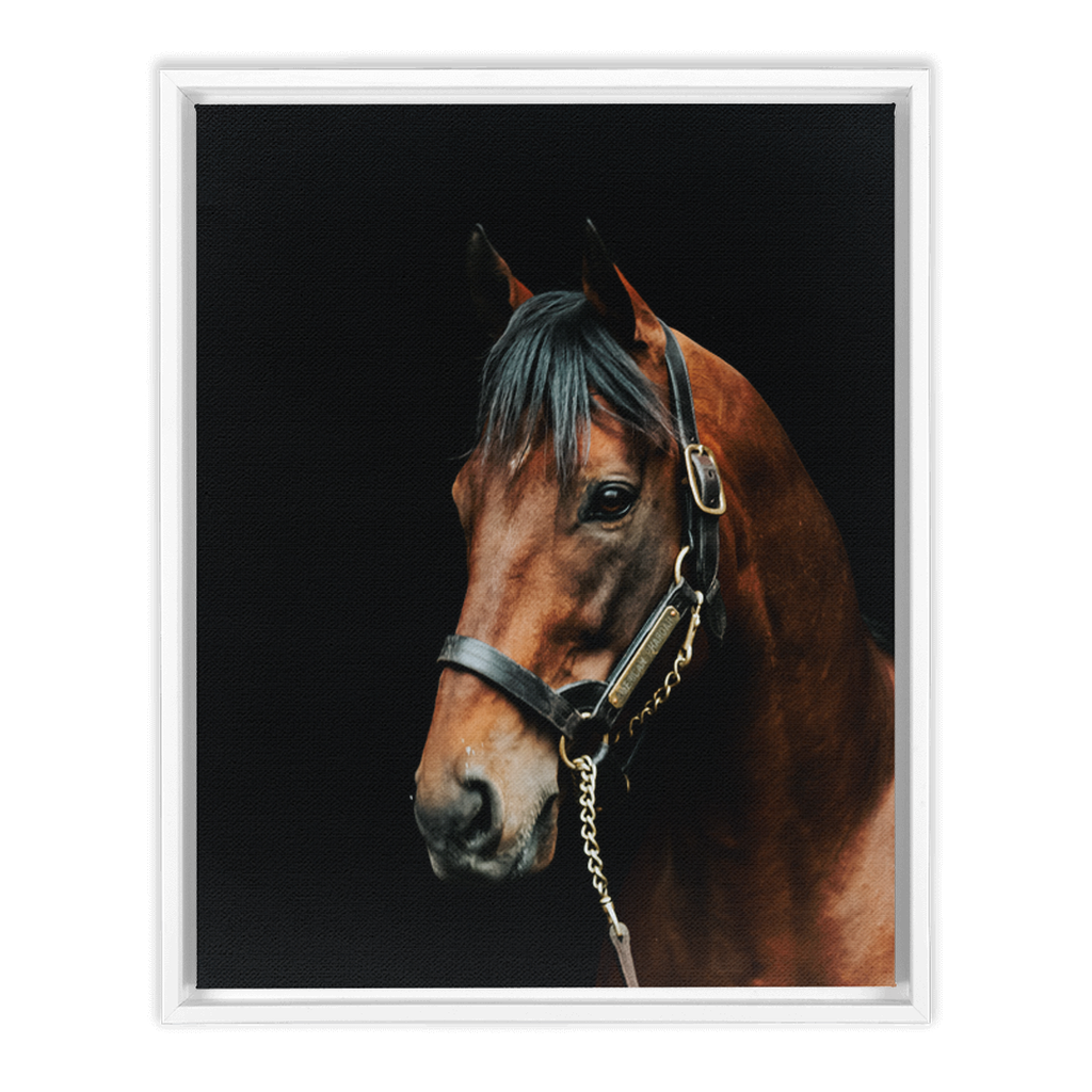 American Pharoah Series 2, Framed Canvas
