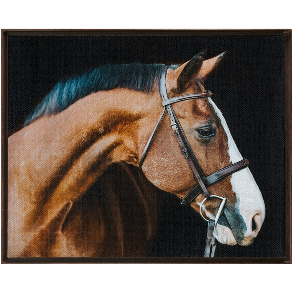 Huntsman Series 3, Framed Canvas