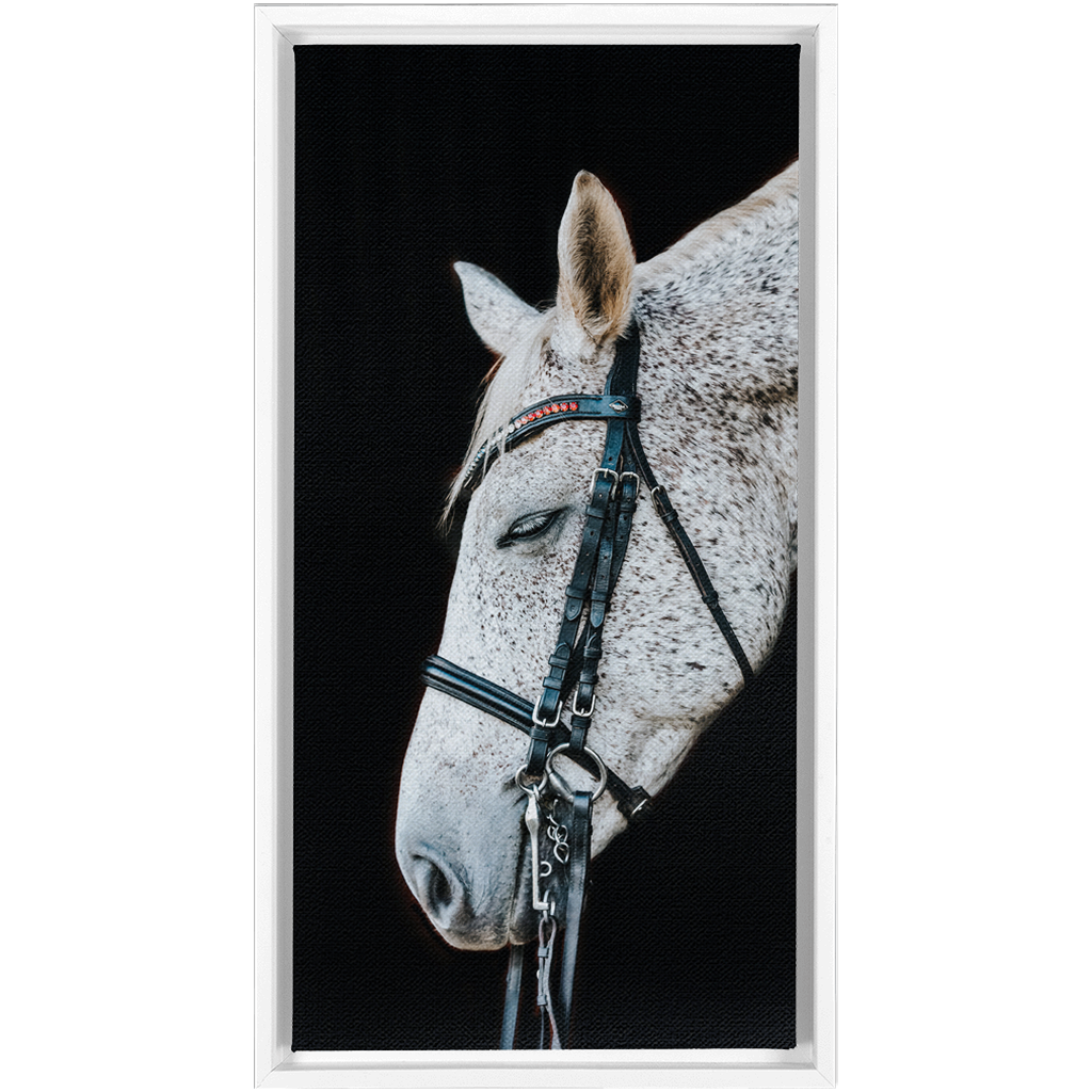 Apollo Series 1, Framed Canvas