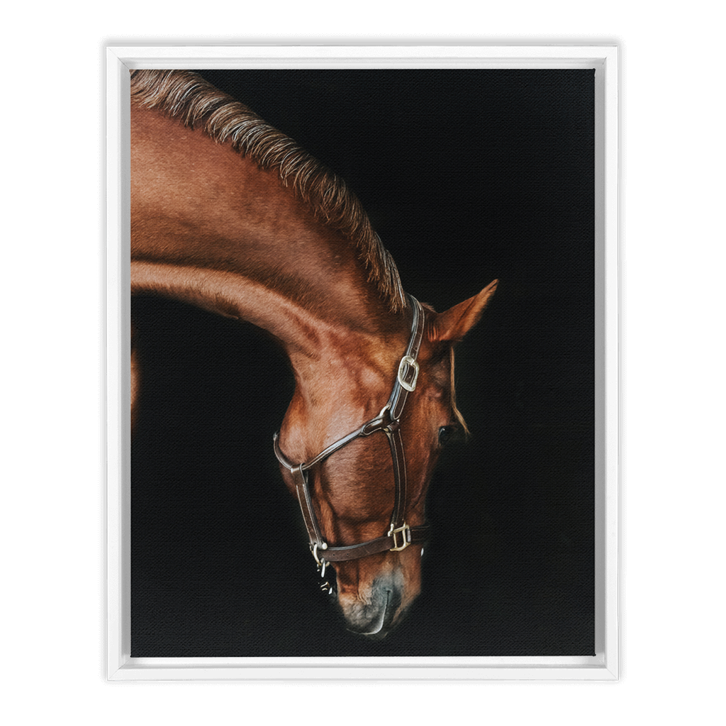 Django Series 6, Framed Canvas