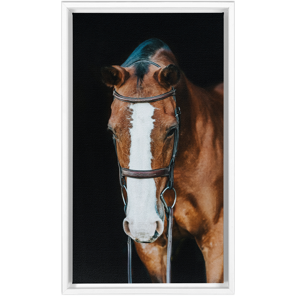 Huntsman Series 6, Framed Canvas