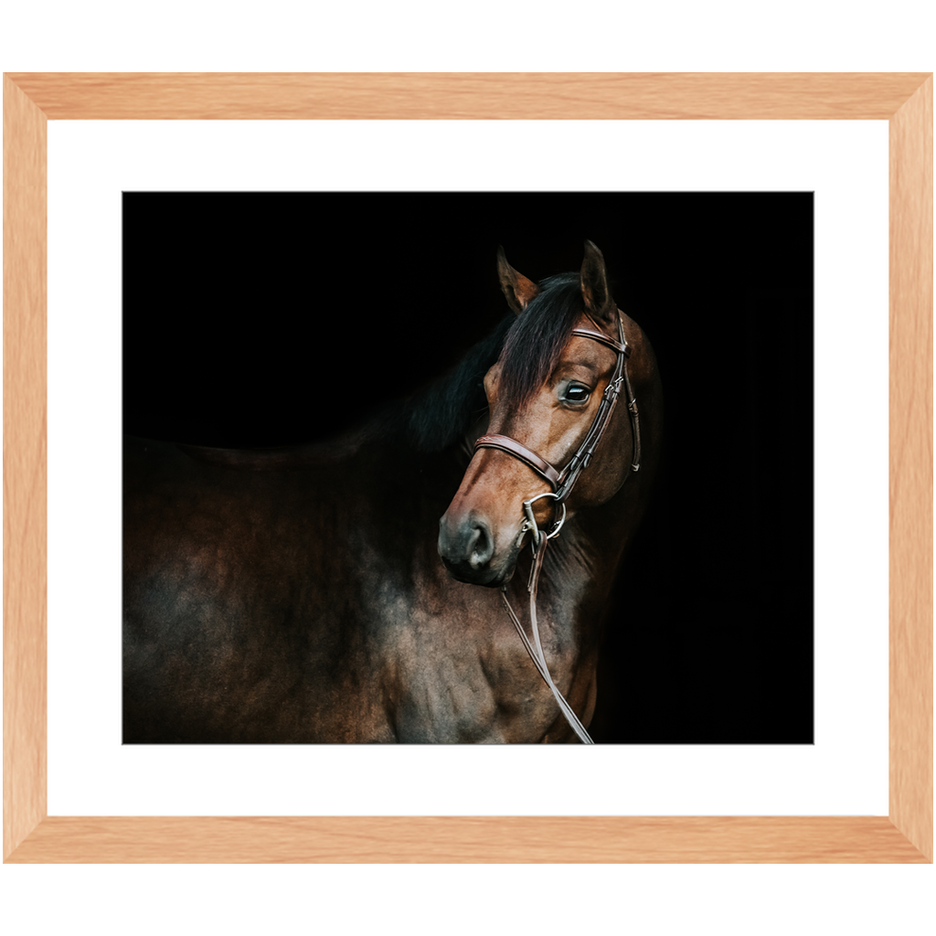 Jovial Series 2, Framed Print