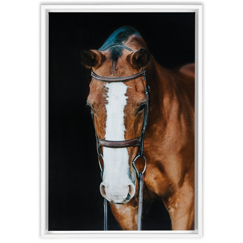 Huntsman Series 6, Framed Canvas