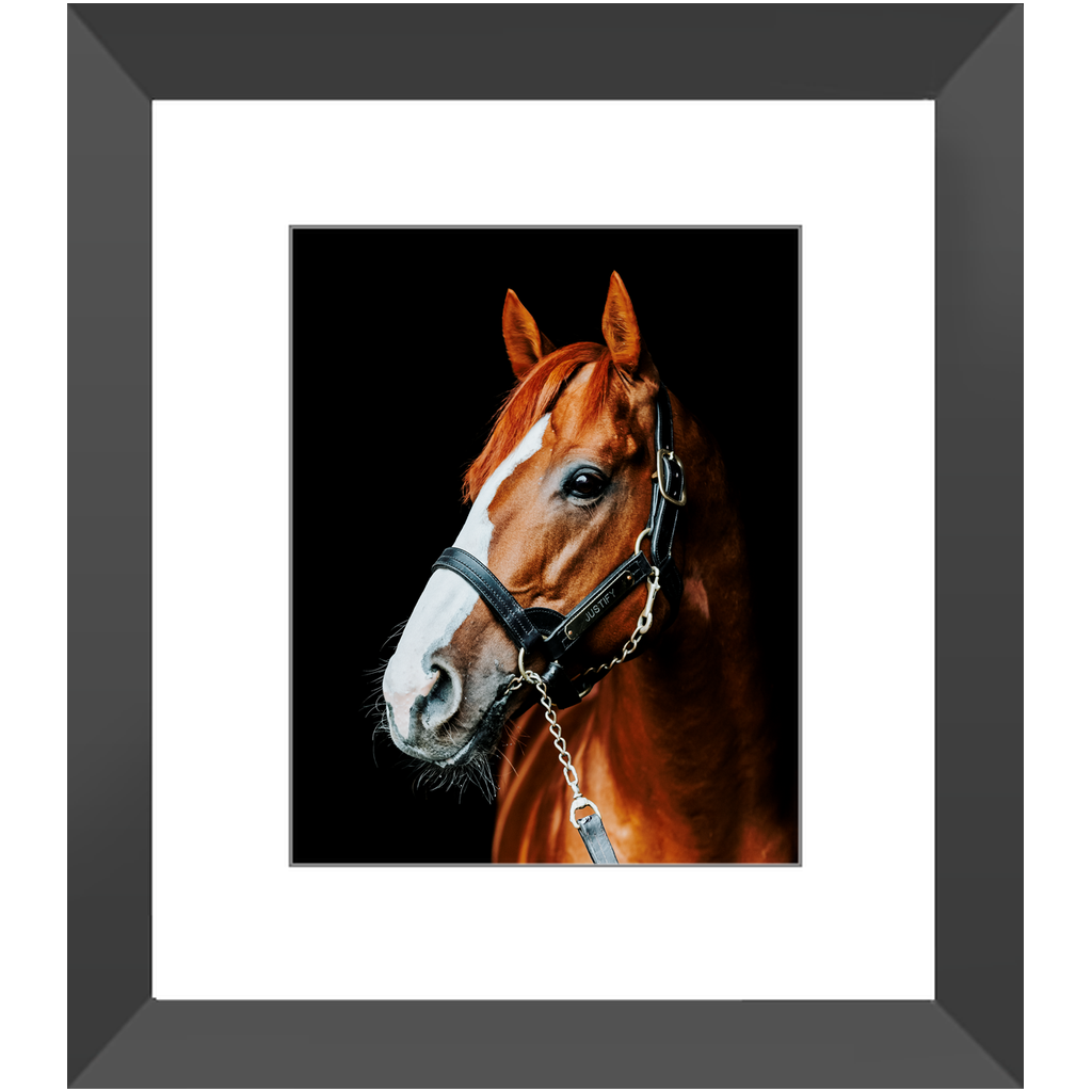 Justify Series 5, Framed Print