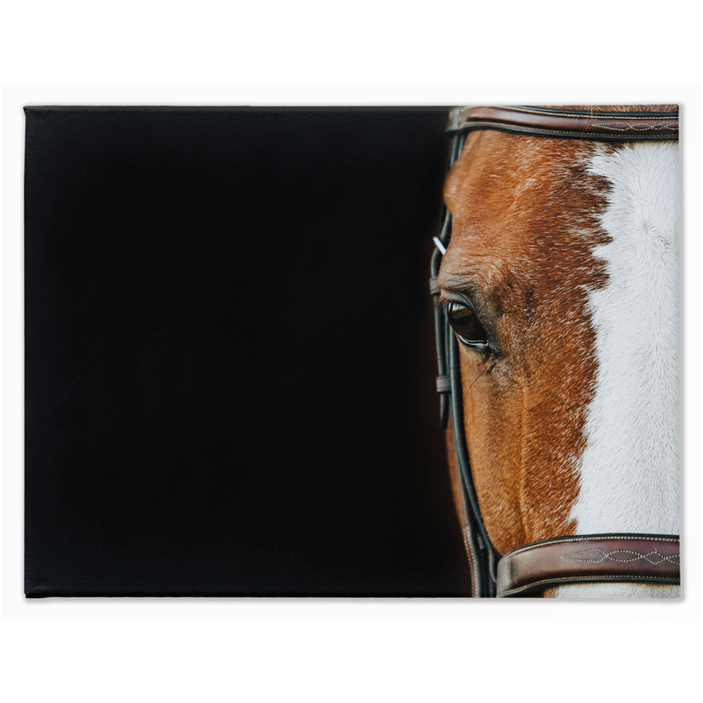 Huntsman Series 5, Stretched Canvas