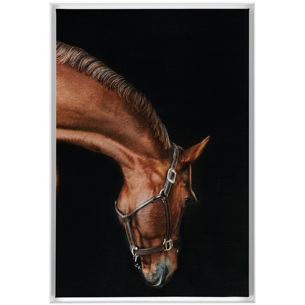 Django Series 6, Framed Canvas
