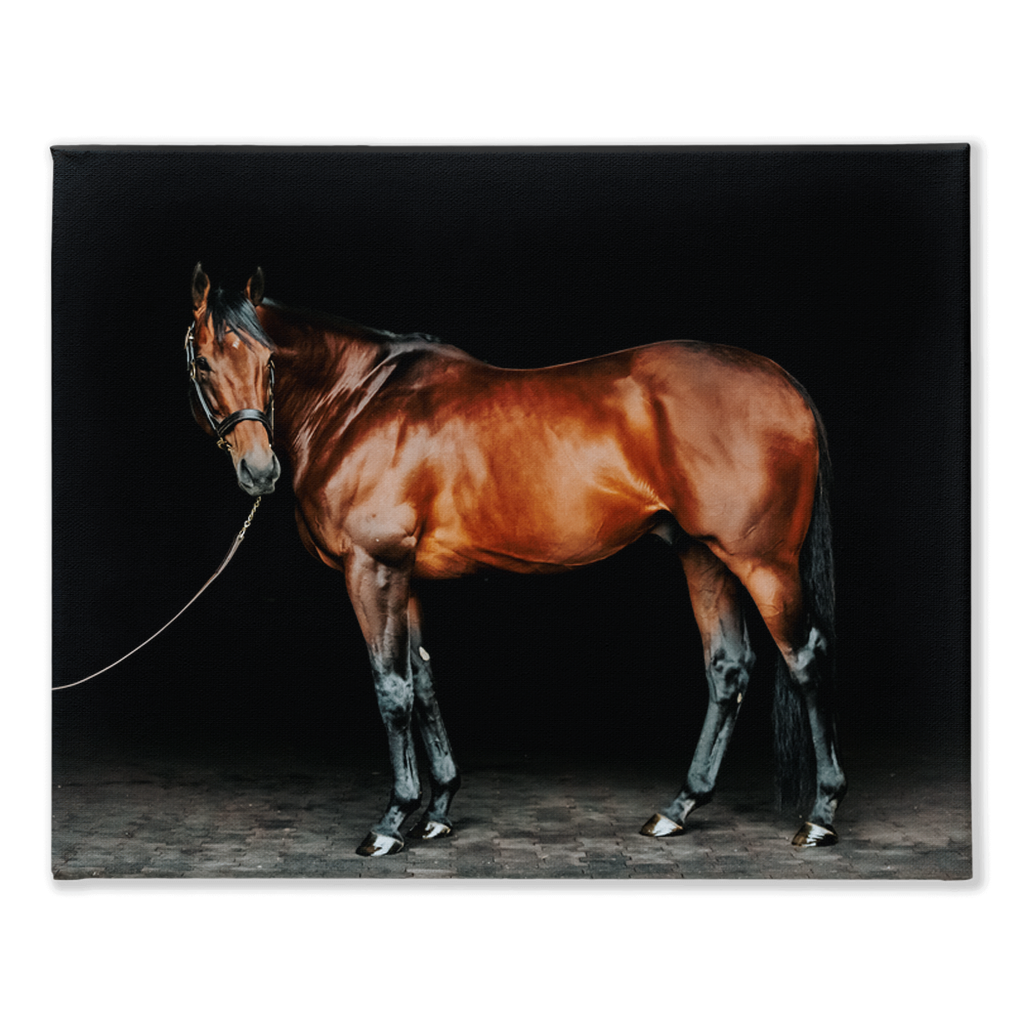 American Pharoah Series 1, Stretched Canvas