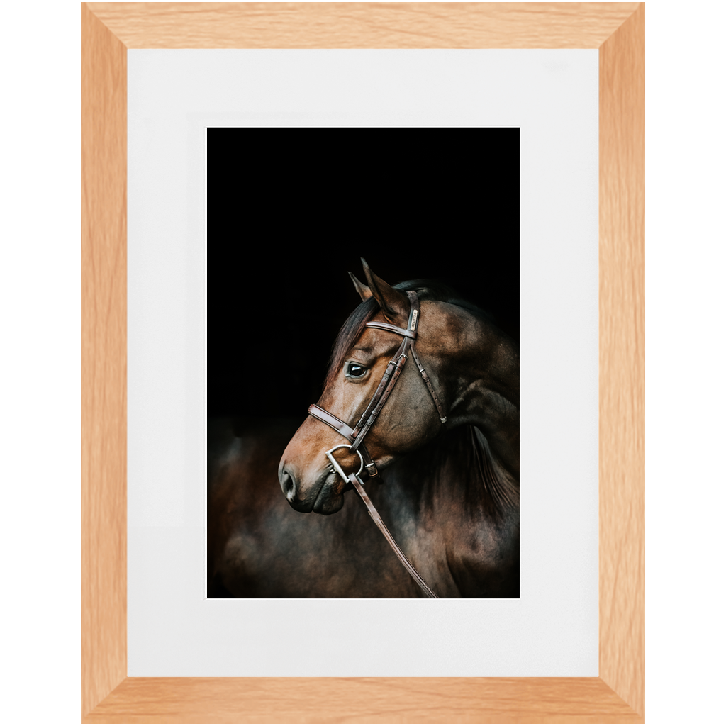 Jovial Series 3, Framed Print