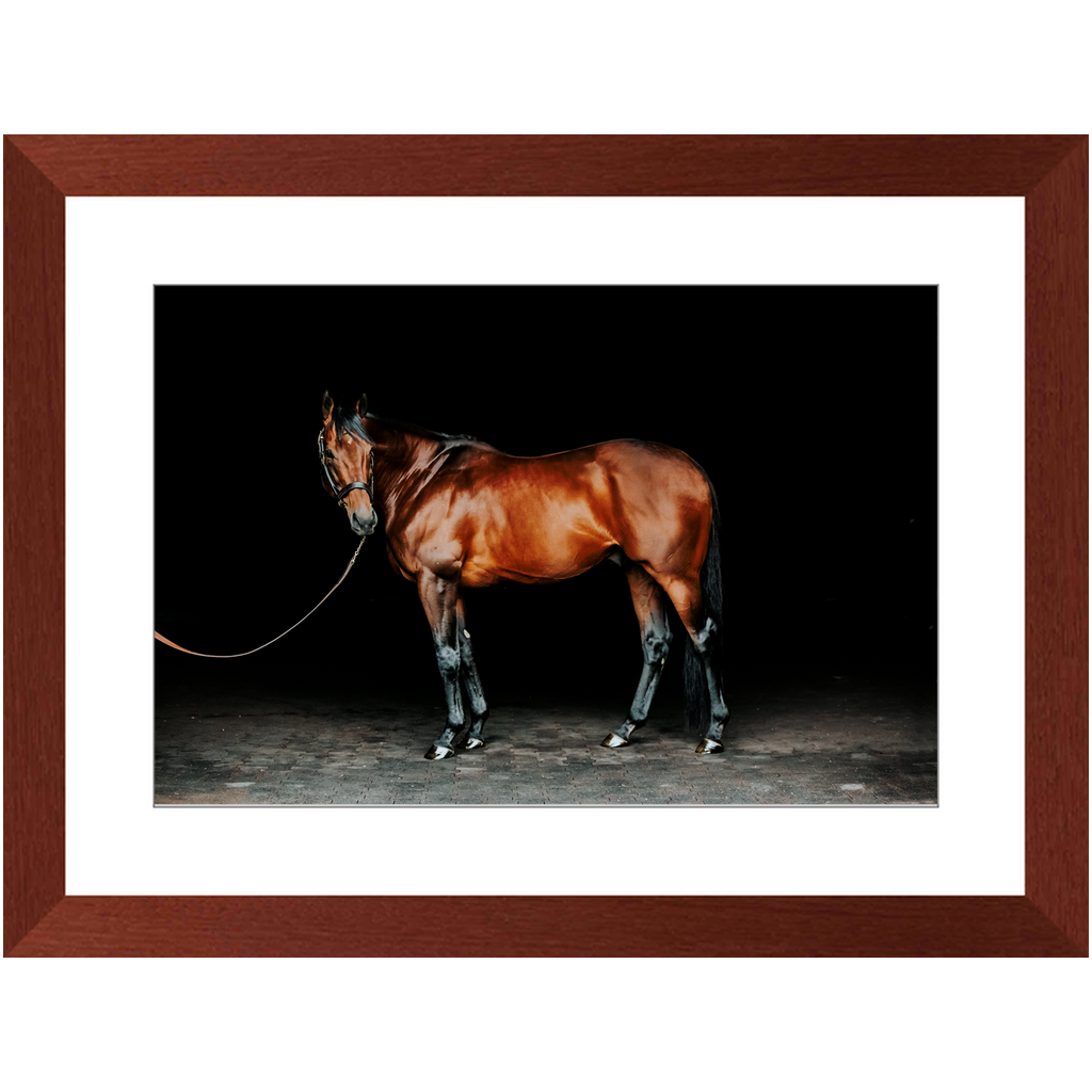 American Pharoah Series 1, Framed Print