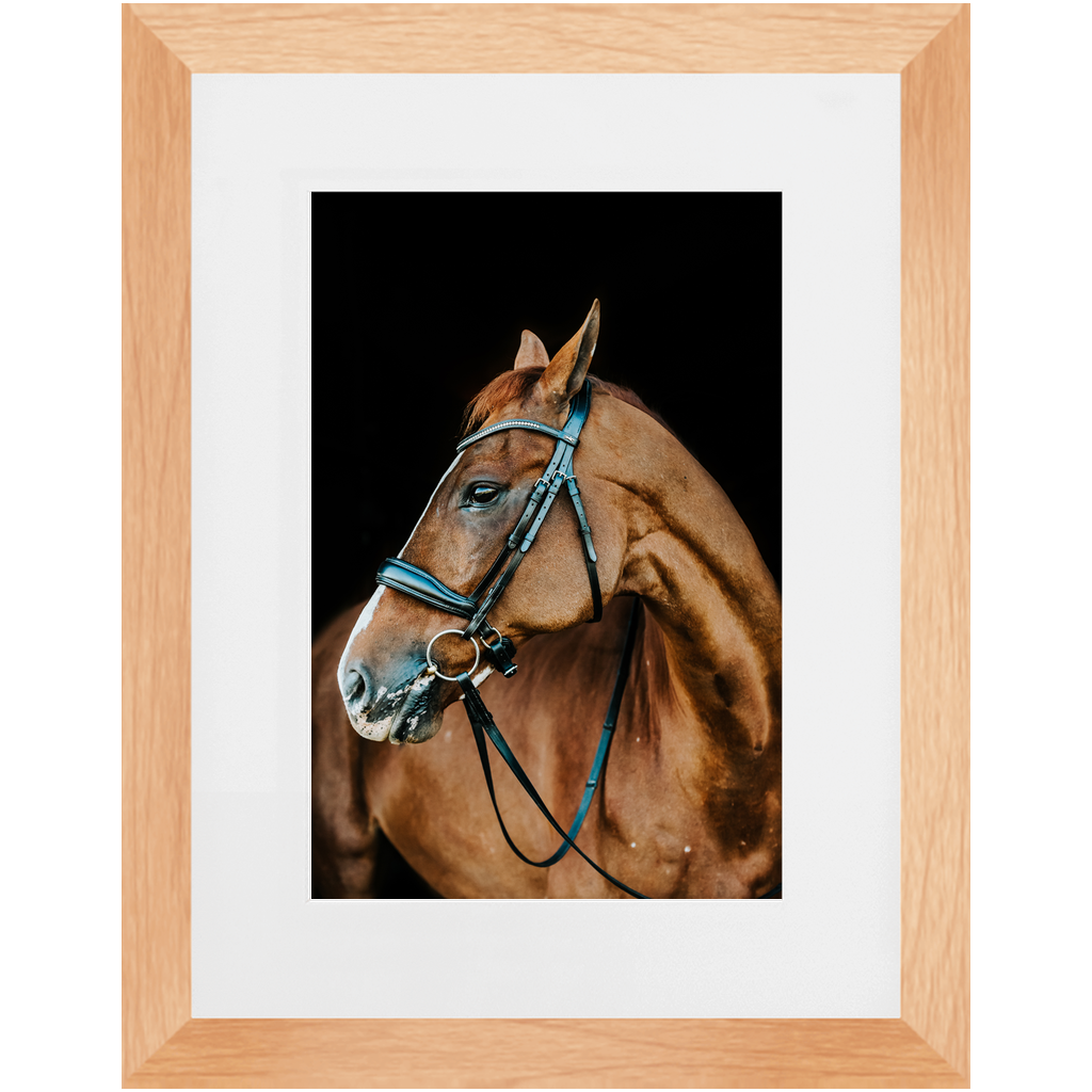 Hudson Series 6, Framed Print