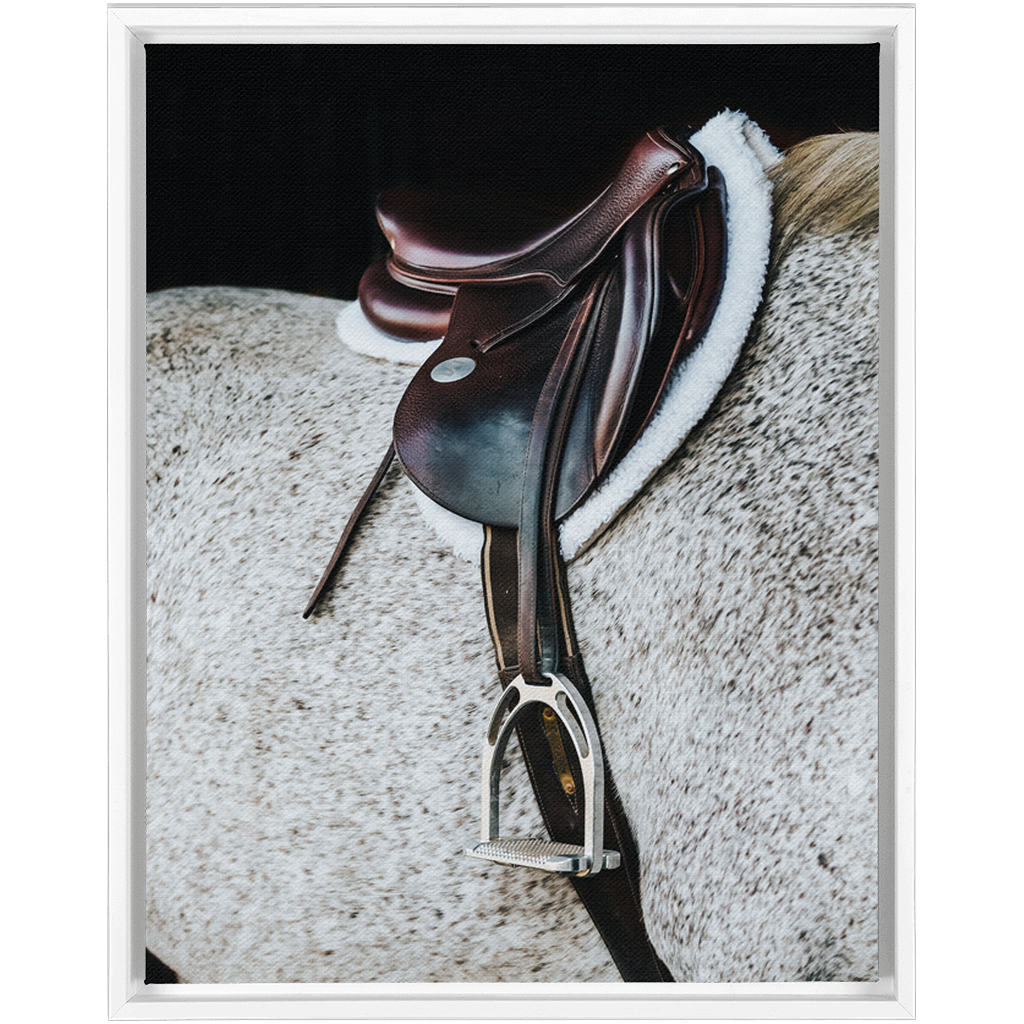 Apollo Series 3, Framed Canvas