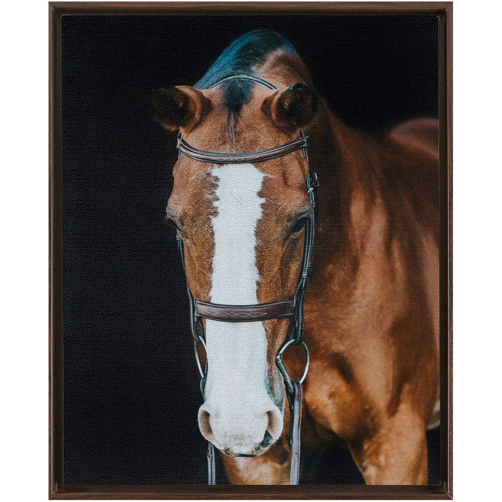 Huntsman Series 6, Framed Canvas