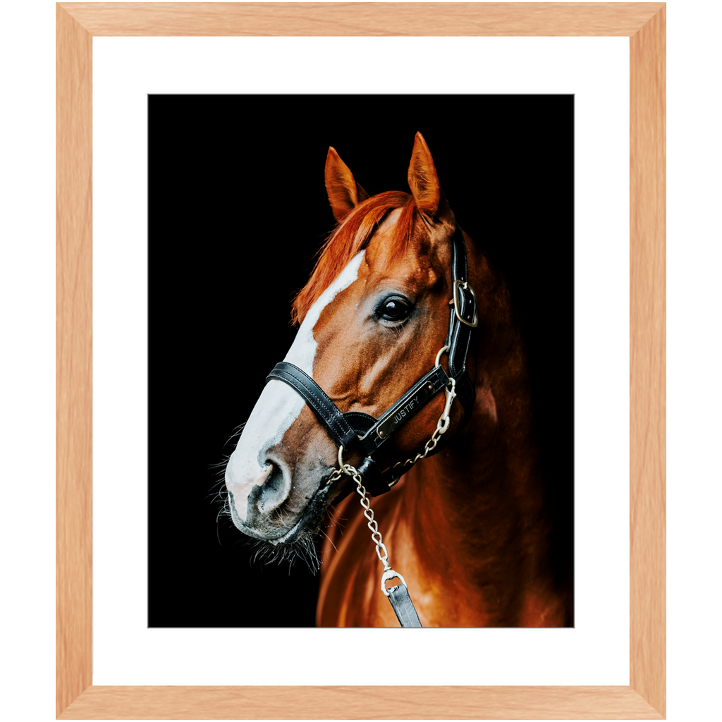 Justify Series 5, Framed Print