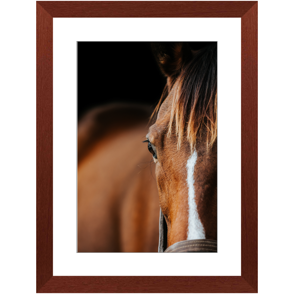 Majestic Series 1, Framed Print