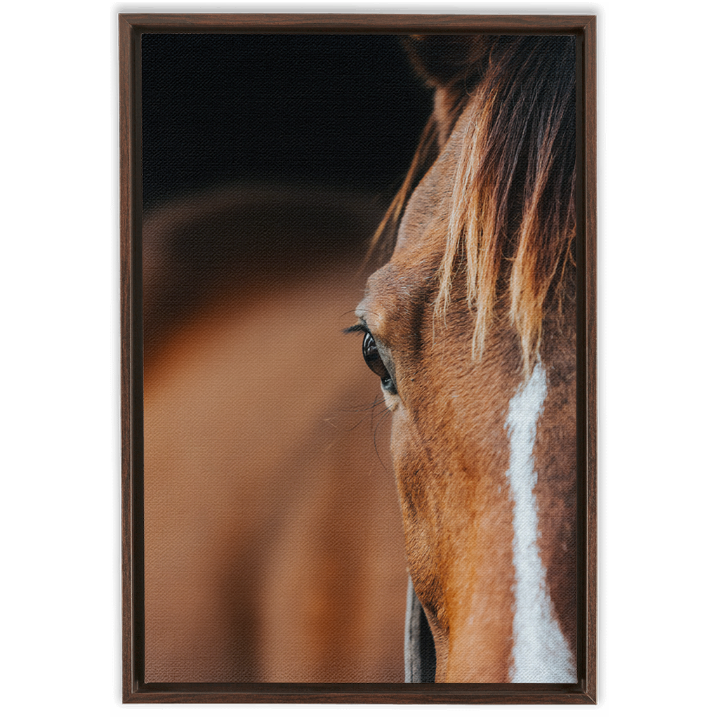 Majestic 1, Framed Canvas