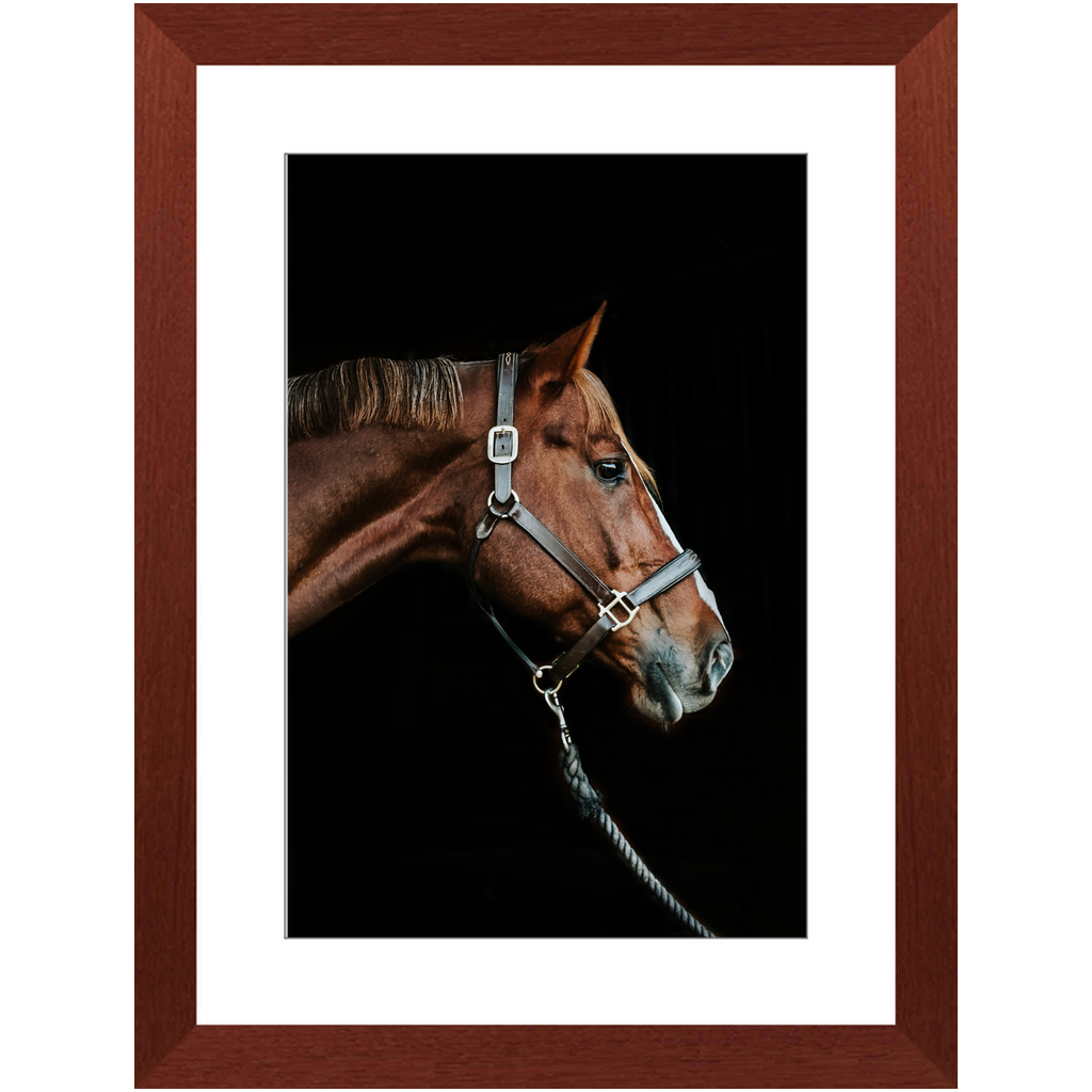 Django Series 3, Framed Print