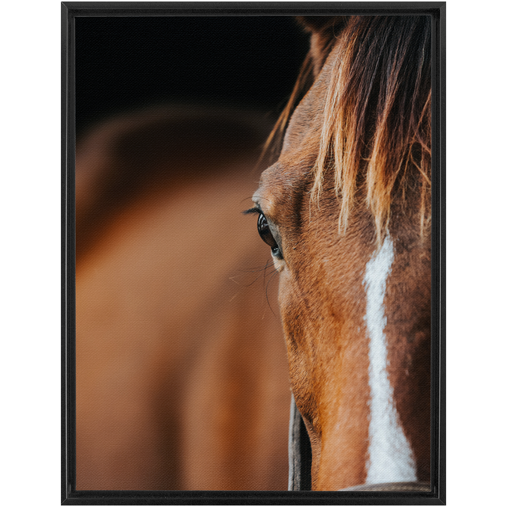 Majestic 1, Framed Canvas