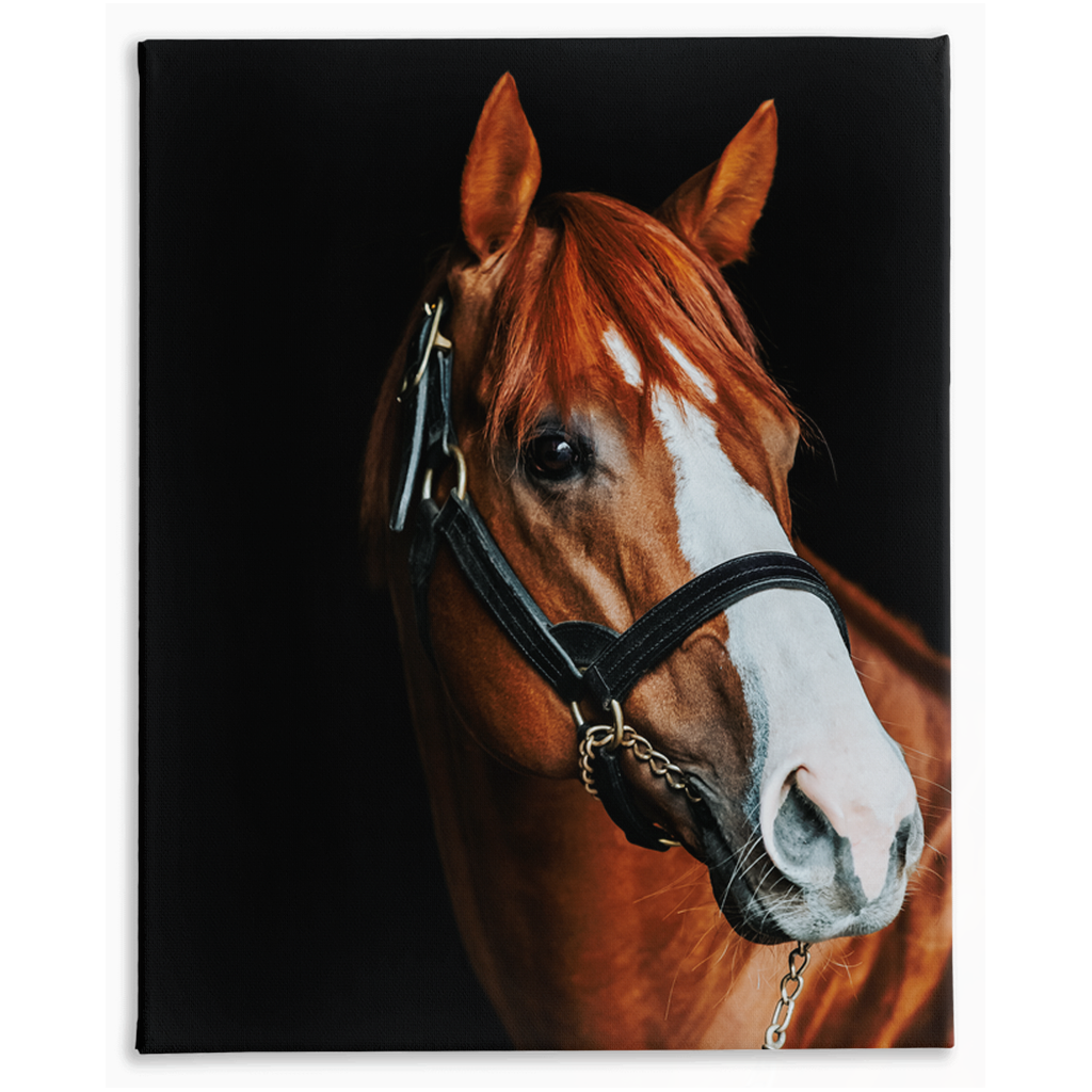 Justify Series 2, Stretched Canvas