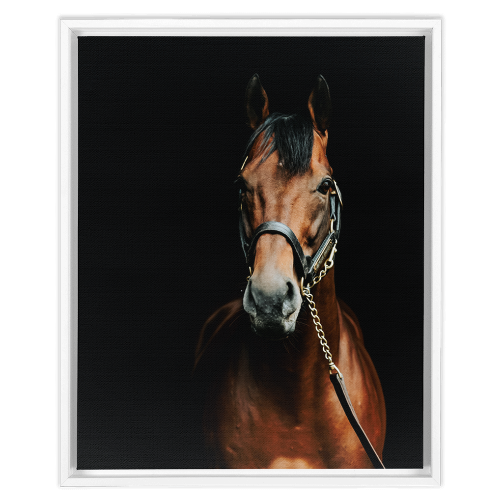American Pharoah Series 4, Framed Canvas