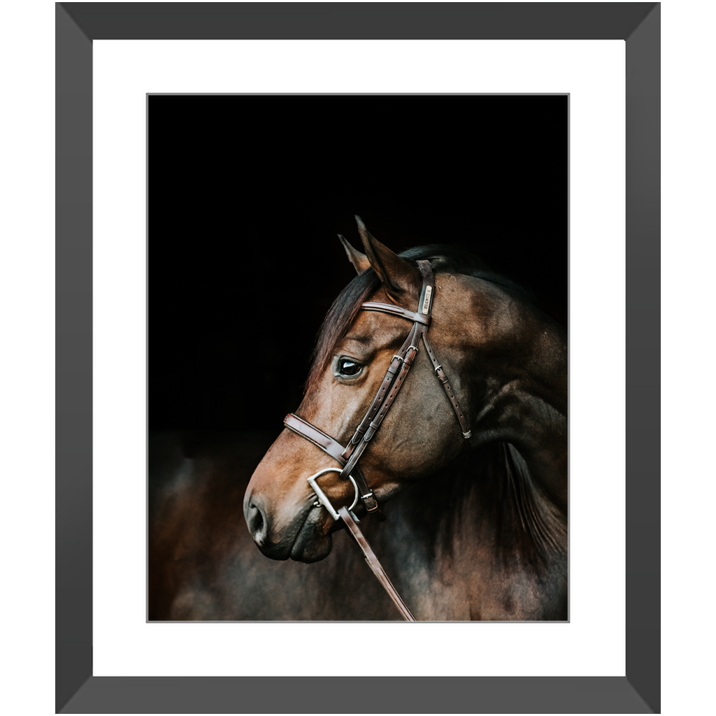 Jovial Series 3, Framed Print