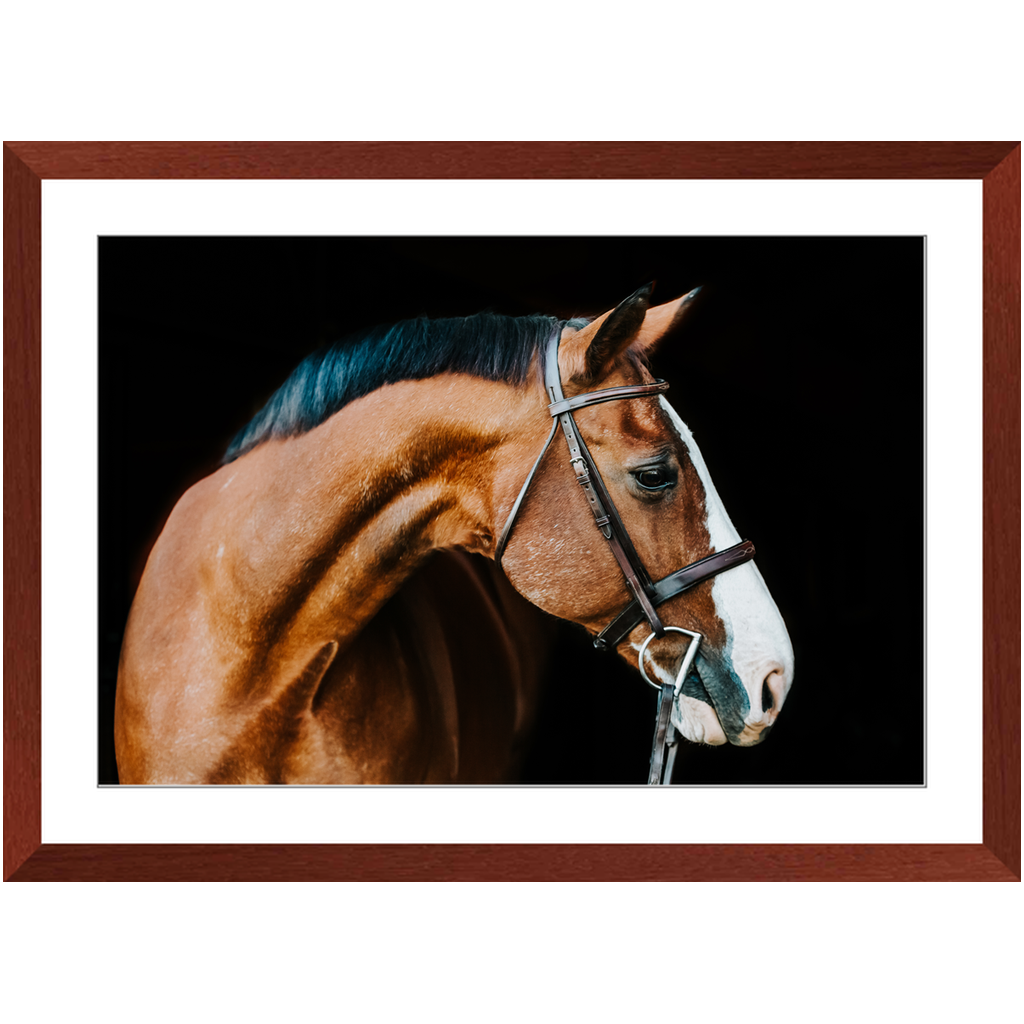 Huntsman Series 3, Framed Print