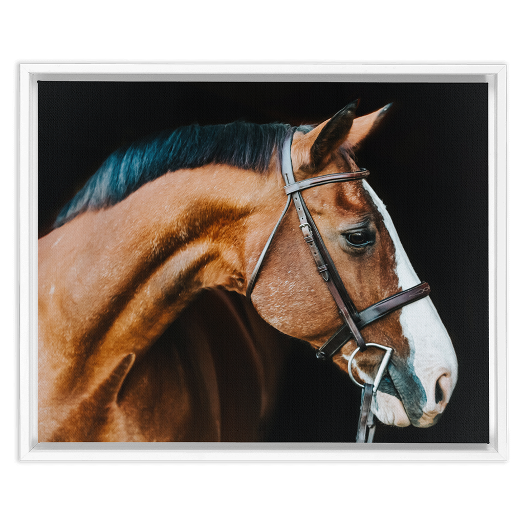 Huntsman Series 3, Framed Canvas
