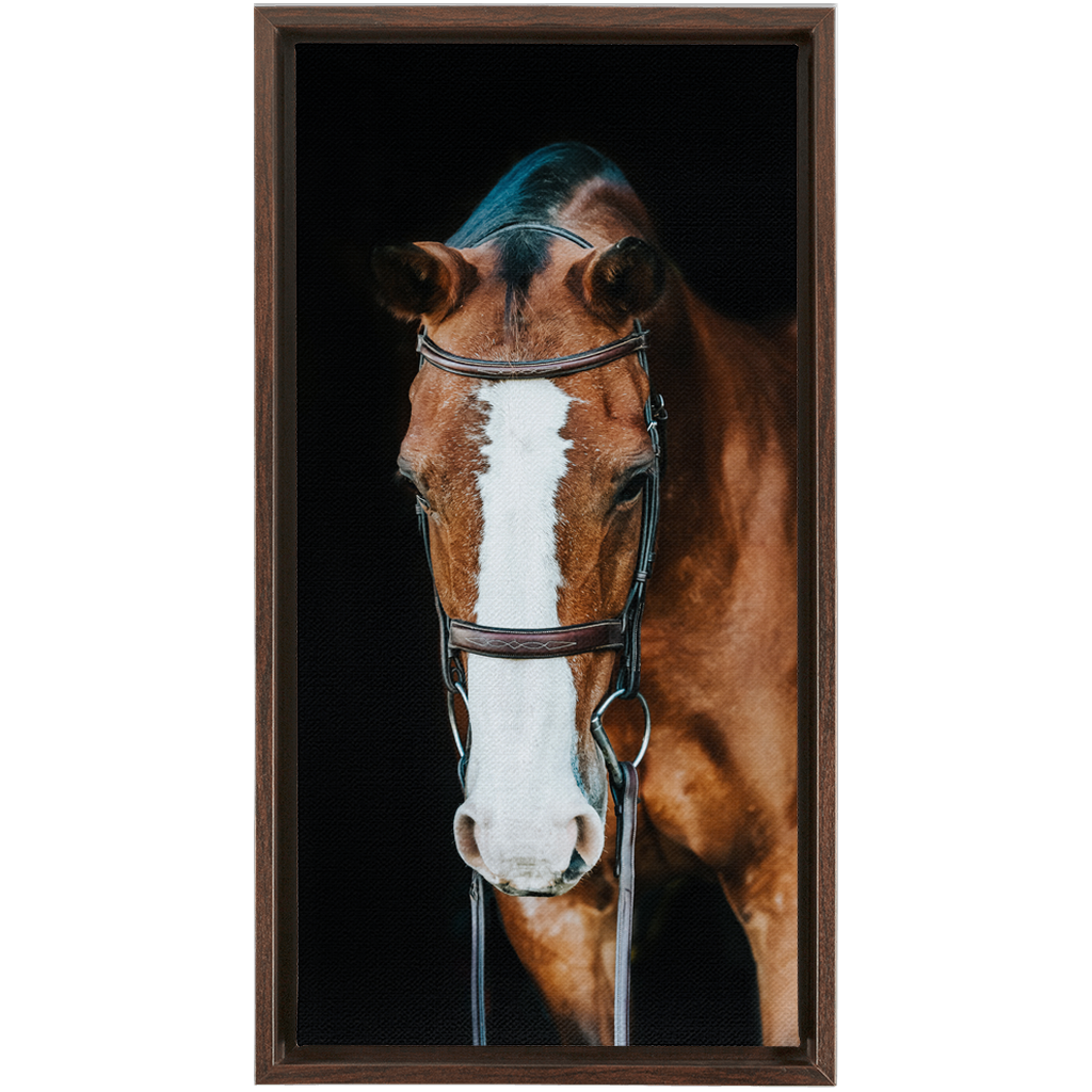 Huntsman Series 6, Framed Canvas
