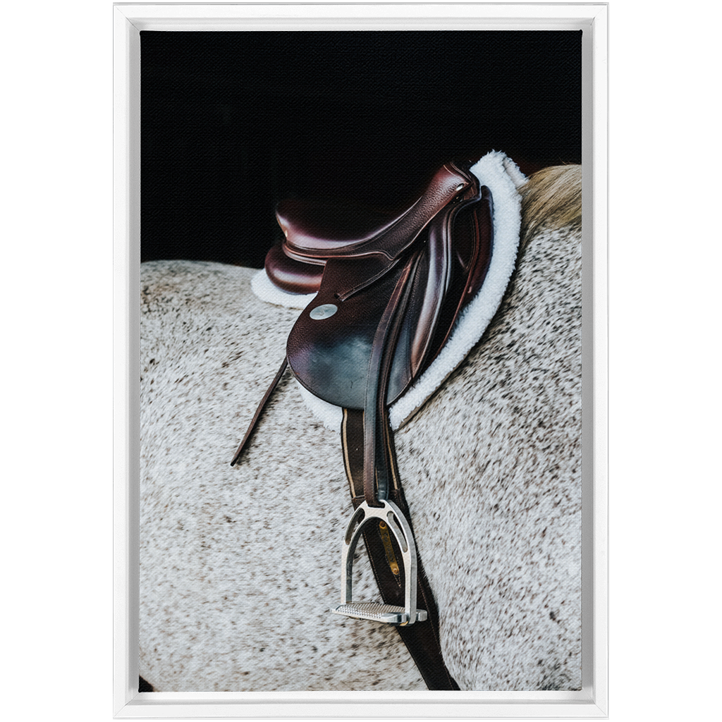 Apollo Series 3, Framed Canvas