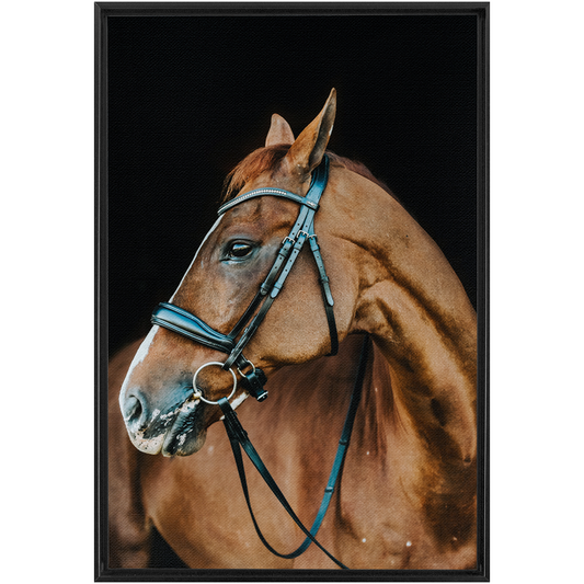 Hudson Series 6, Framed Canvas