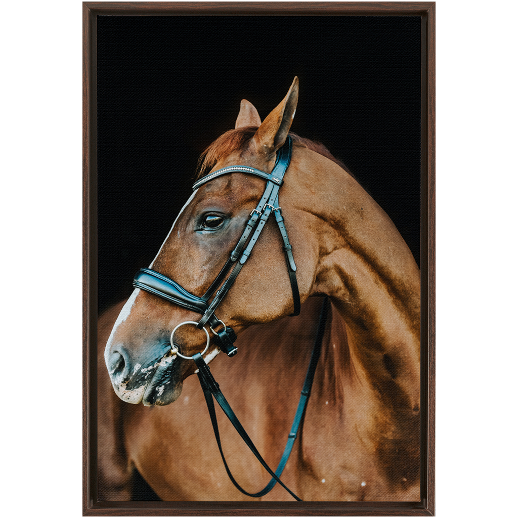 Hudson Series 6, Framed Canvas
