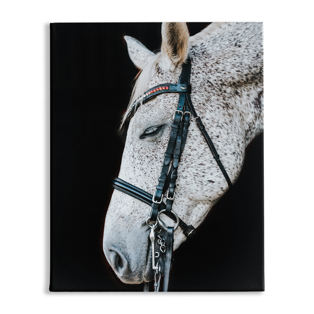 Apollo Series 1, Stretched Canvas