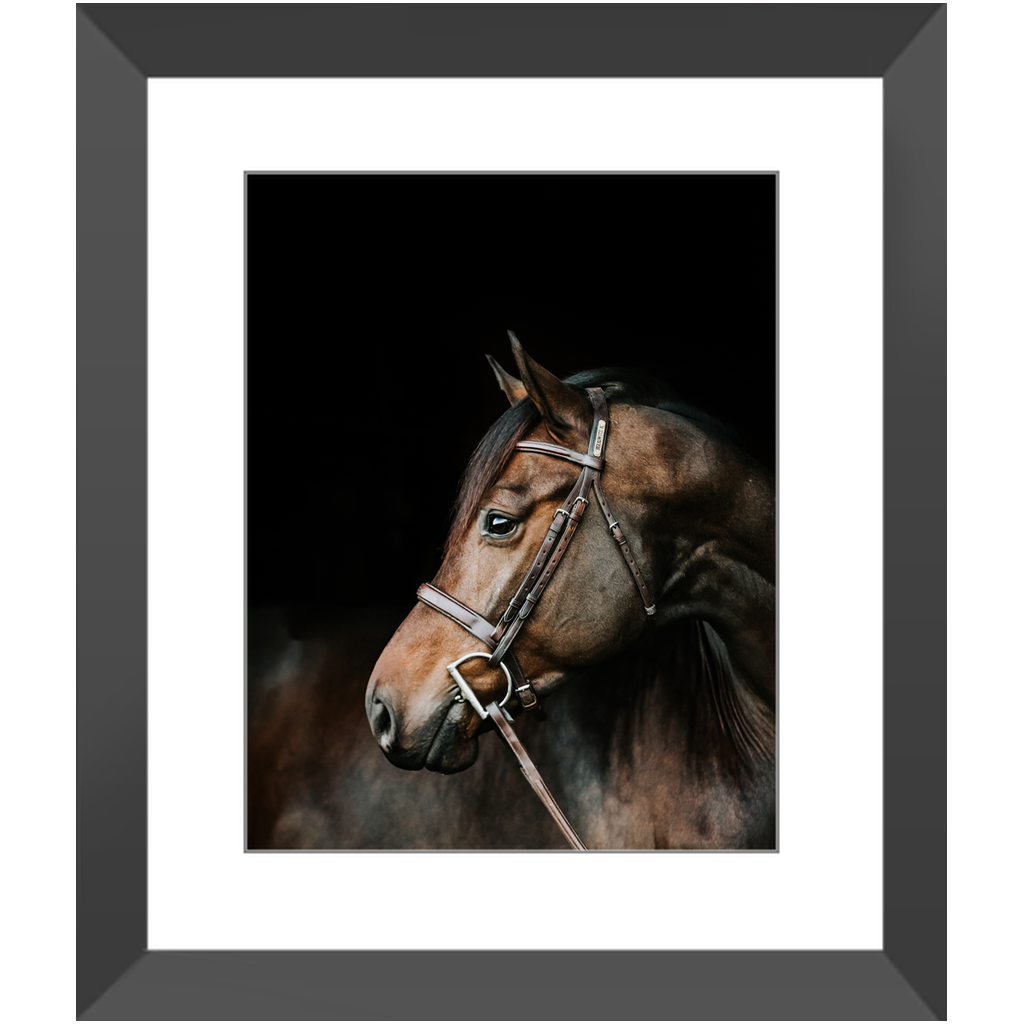 Jovial Series 3, Framed Print