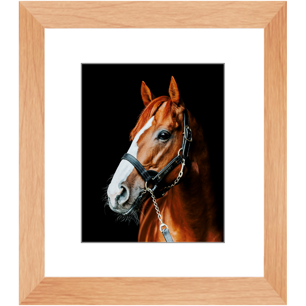 Justify Series 5, Framed Print