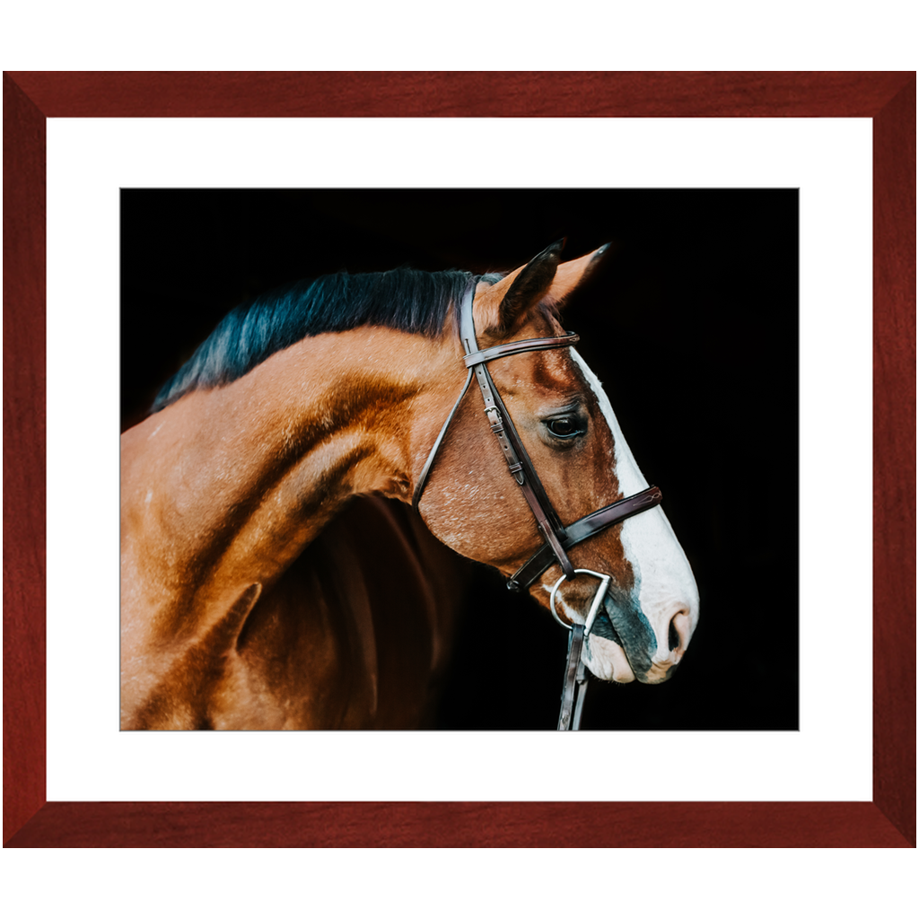 Huntsman Series 3, Framed Print