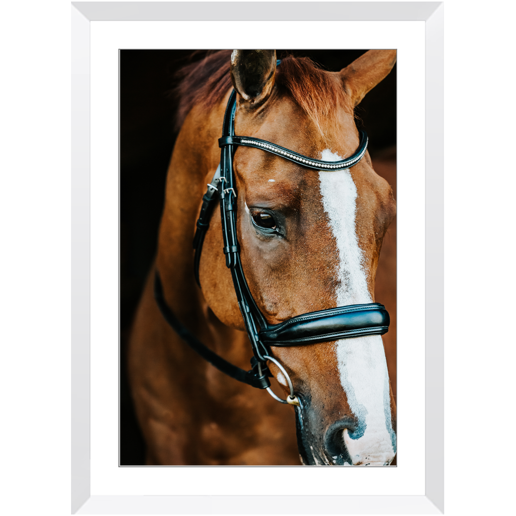 Hudson Series 3, Framed Print
