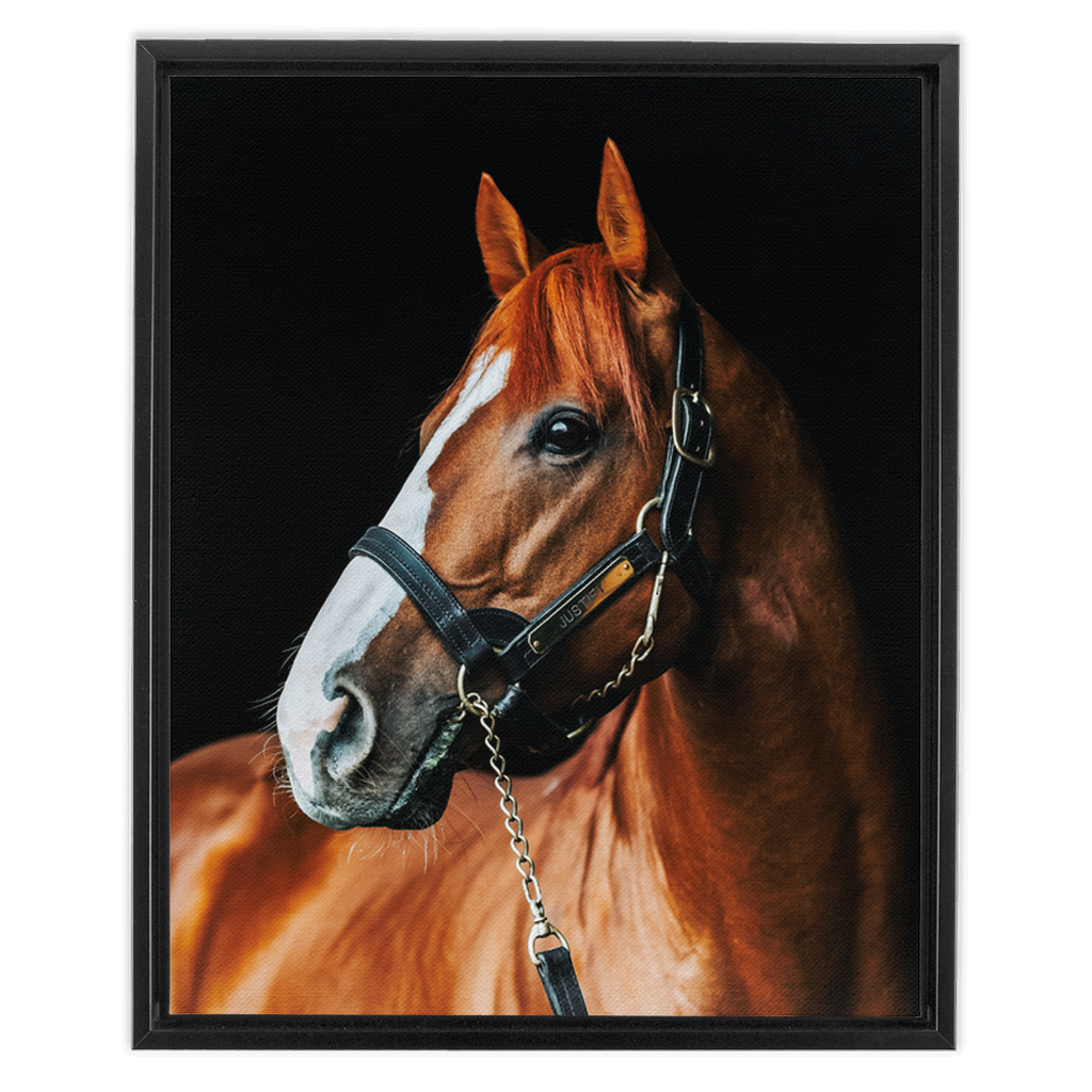 Justify Series 1, Framed Canvas