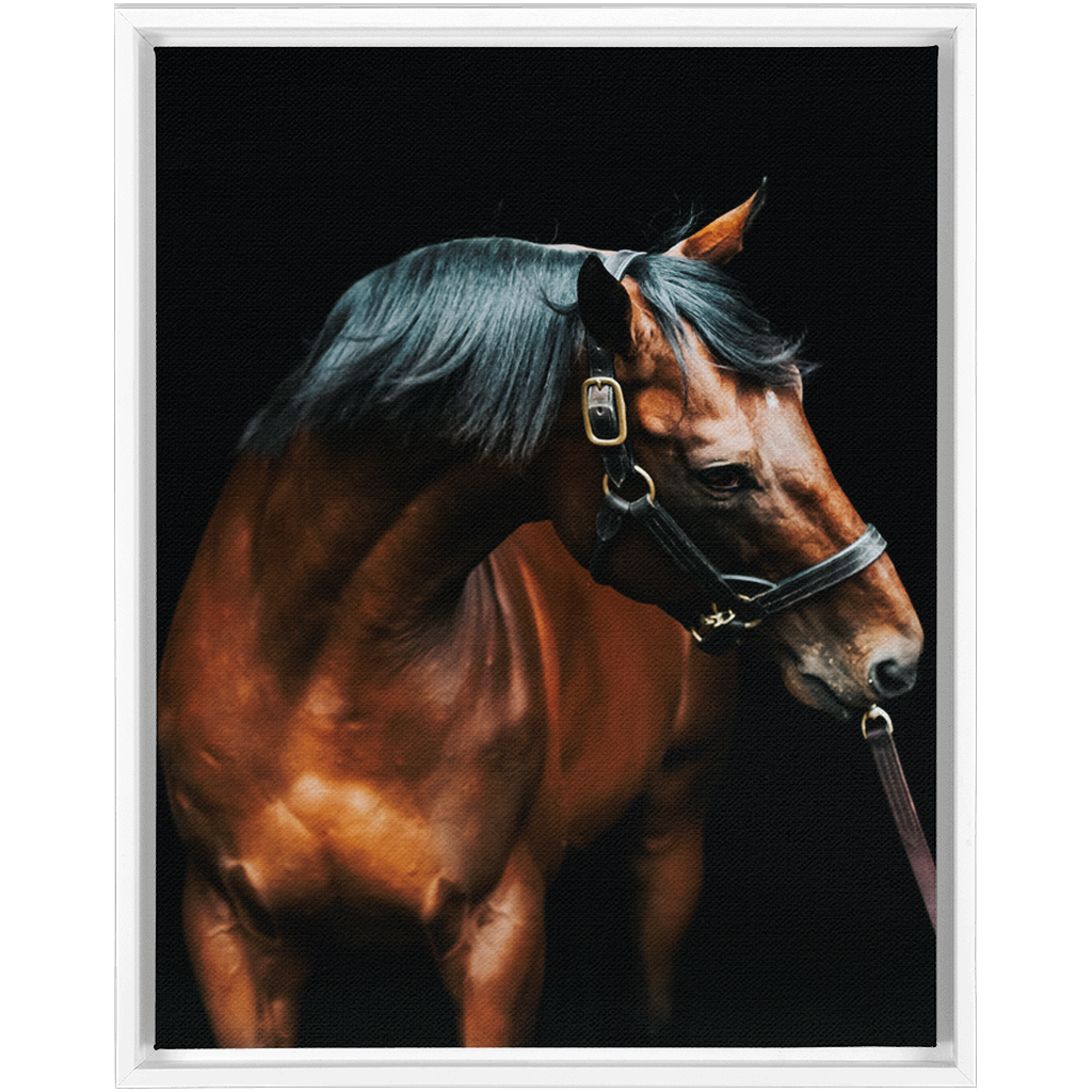 American Pharoah Series 3, Framed Canvas