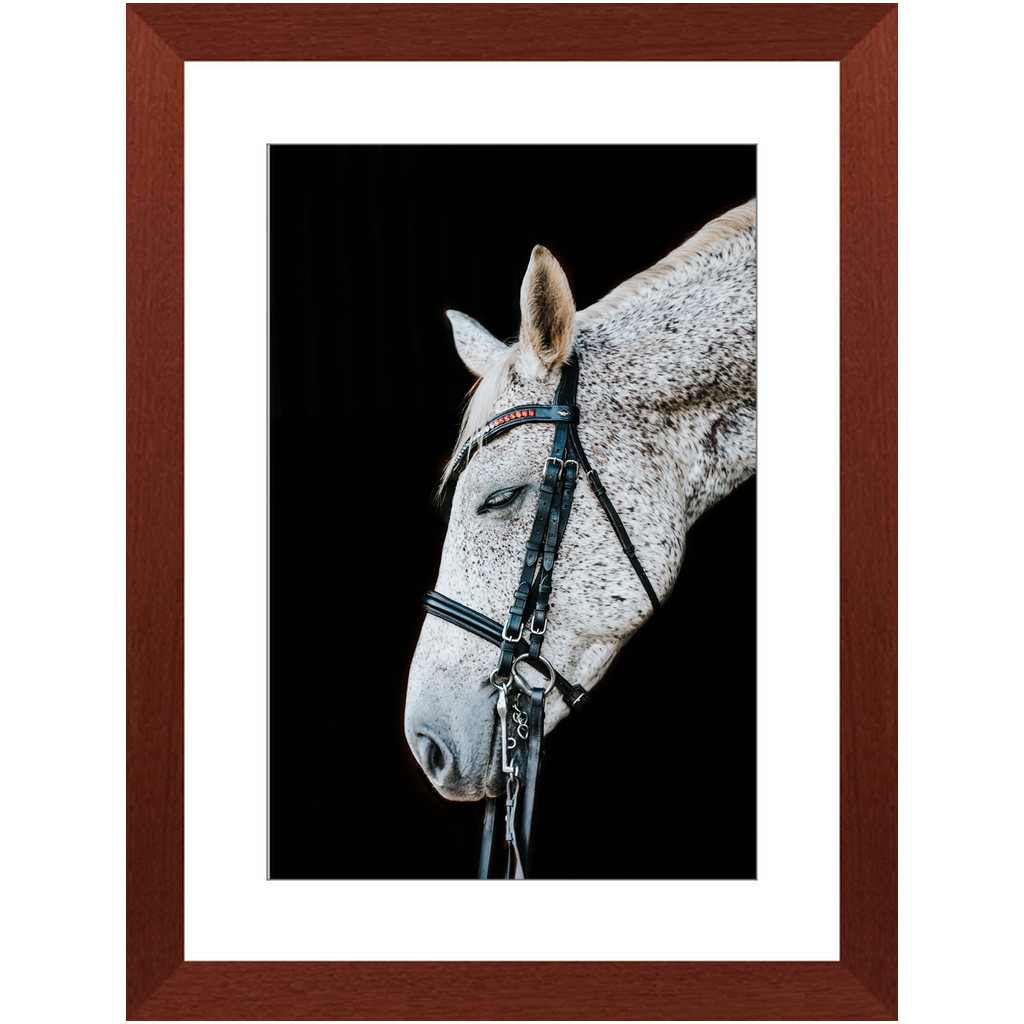 Apollo Series 2, Framed Print