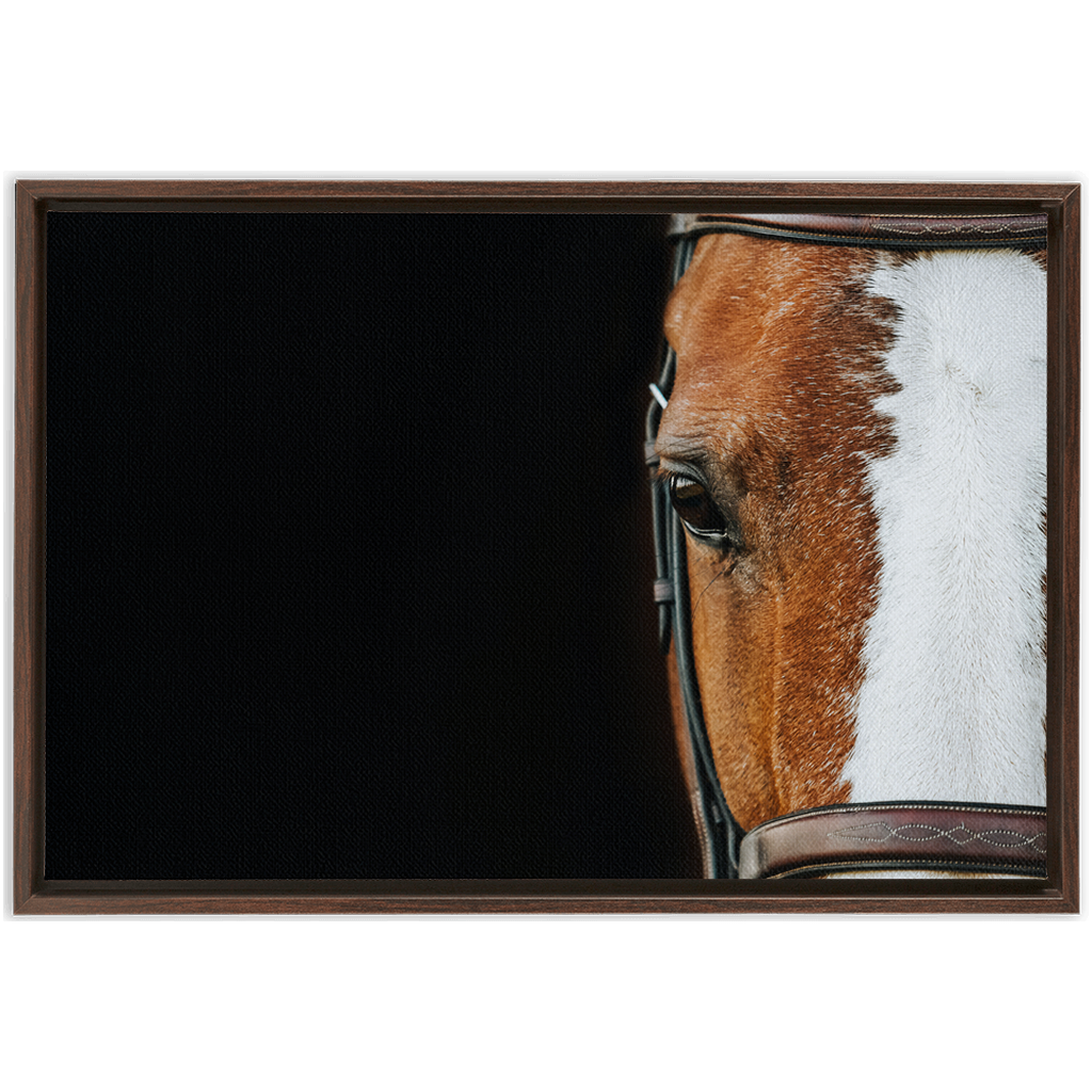 Huntsman Series 5, Framed Canvas