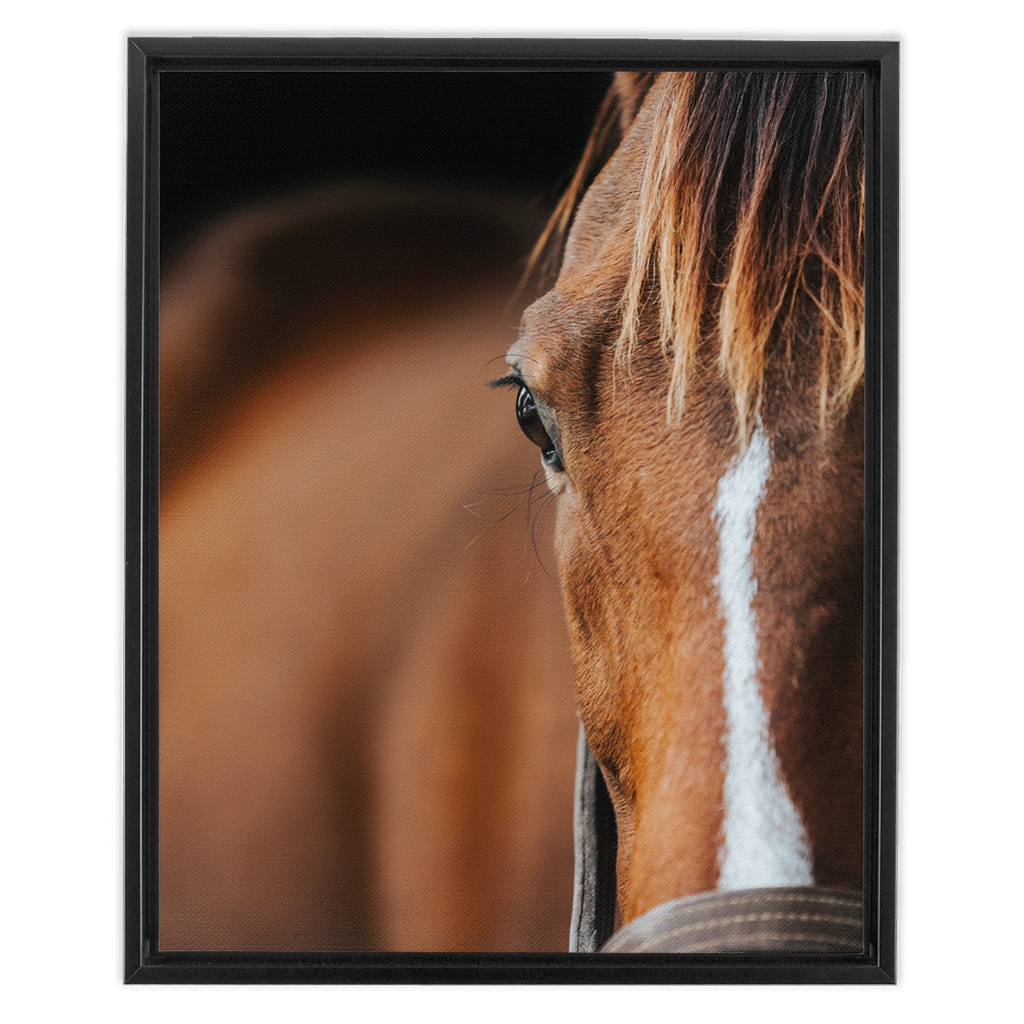 Majestic 1, Framed Canvas