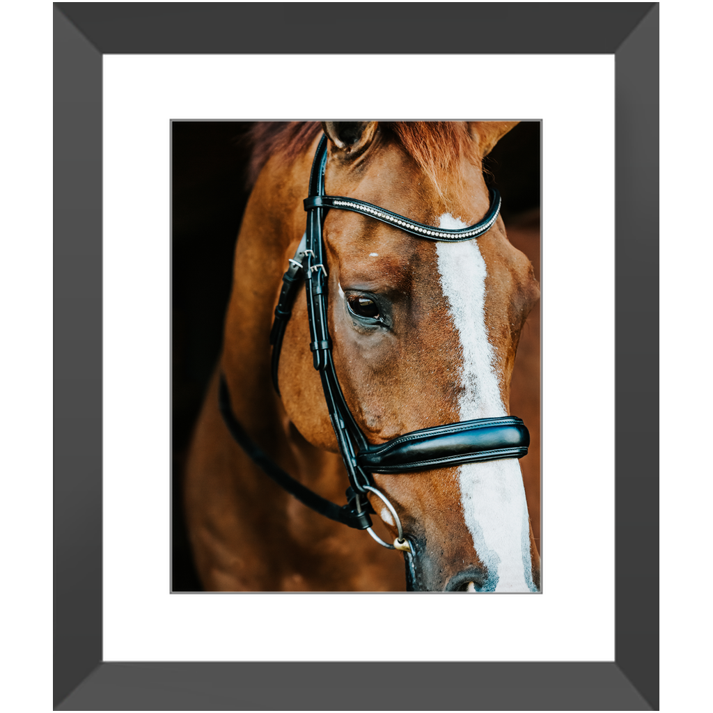 Hudson Series 3, Framed Print