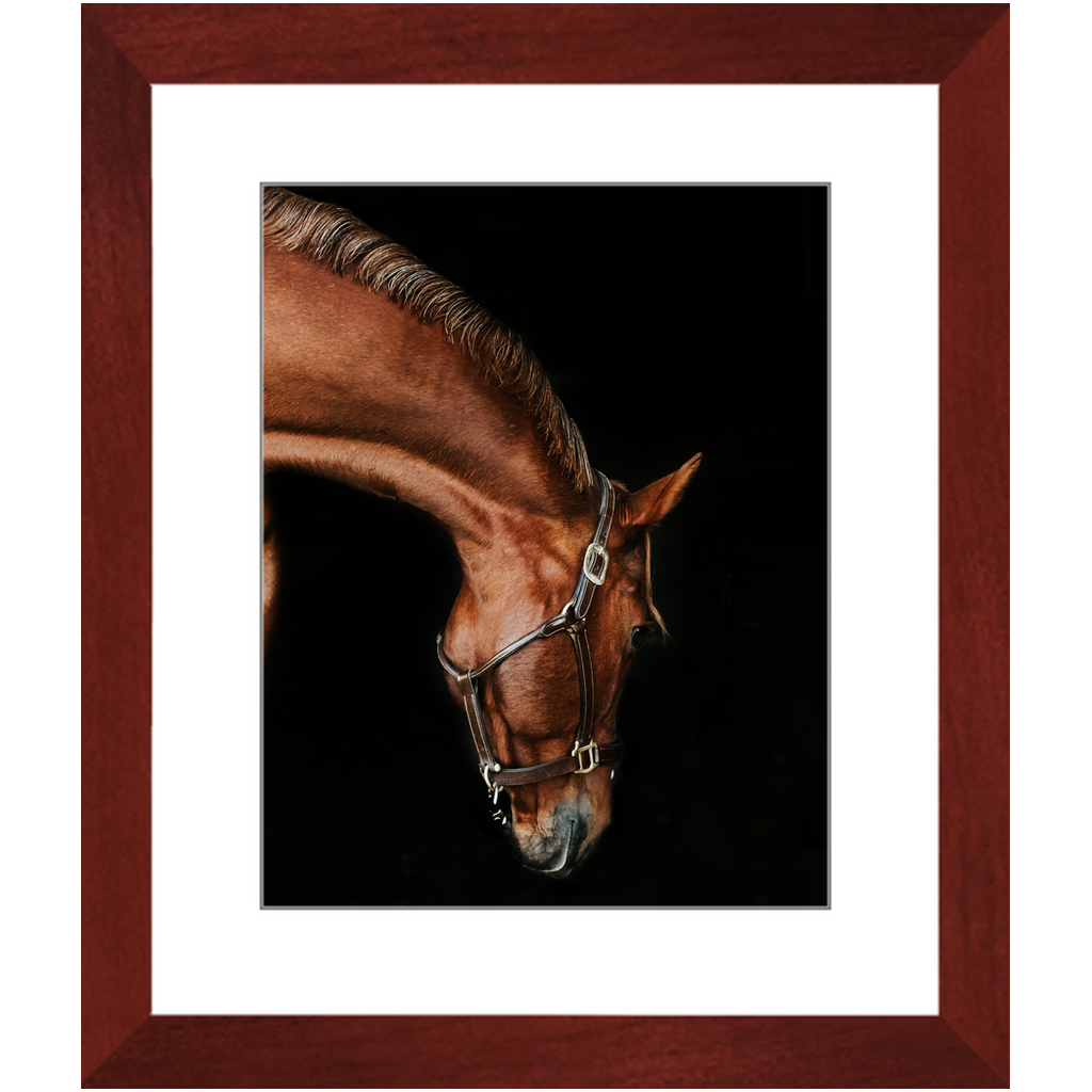 Django Series 6, Framed Print