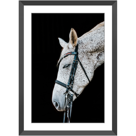 Apollo Series 2, Framed Print