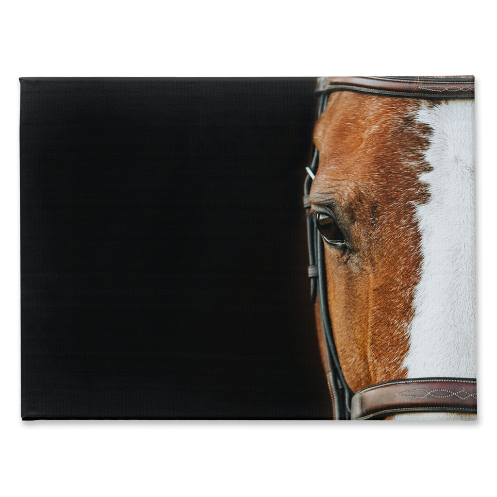 Huntsman Series 5, Stretched Canvas