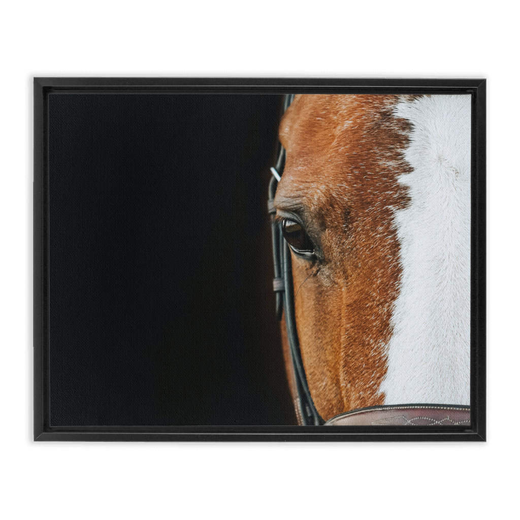 Huntsman Series 5, Framed Canvas