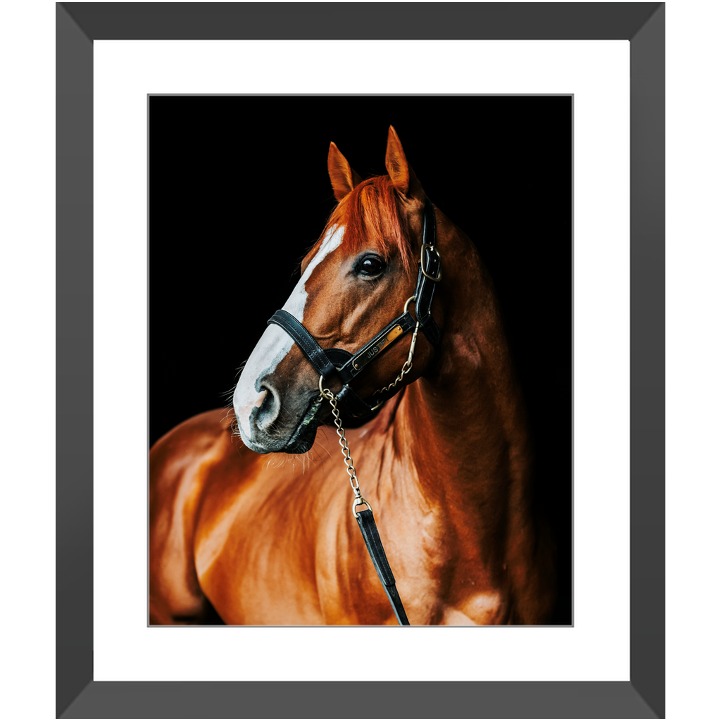 Justify Series 1, Framed Print